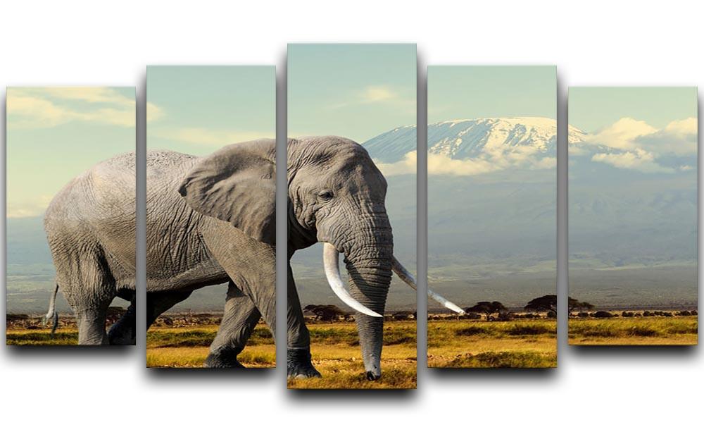 Elephant on Kilimajaro mount 5 Split Panel Canvas - Canvas Art Rocks - 1