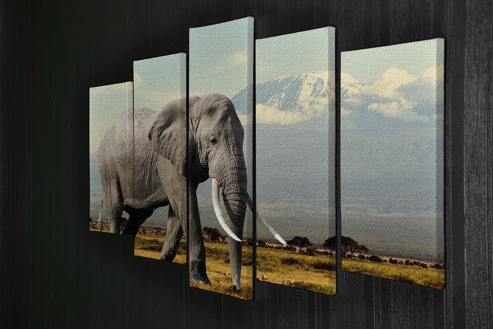 Elephant on Kilimajaro mount 5 Split Panel Canvas - Canvas Art Rocks - 2