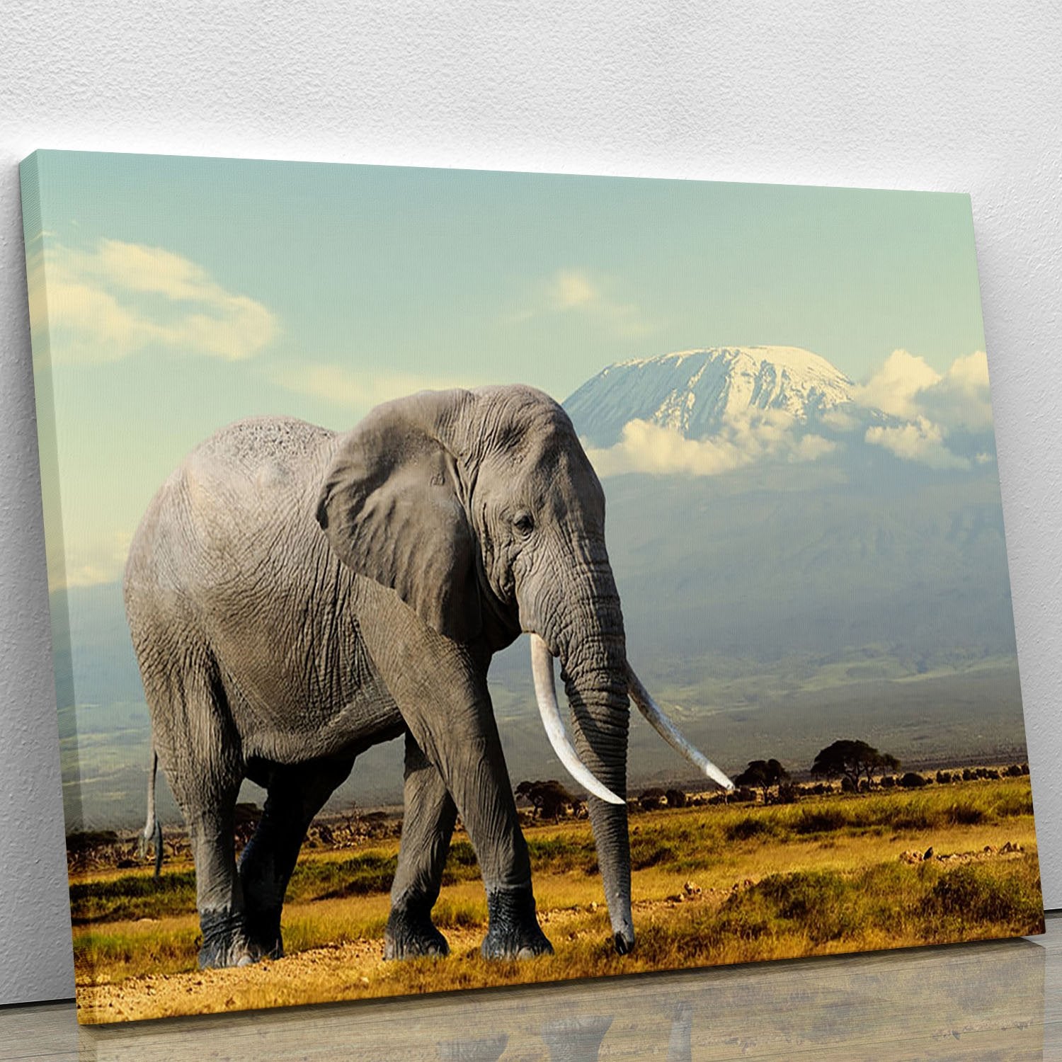 Elephant on Kilimajaro mount Canvas Print or Poster
