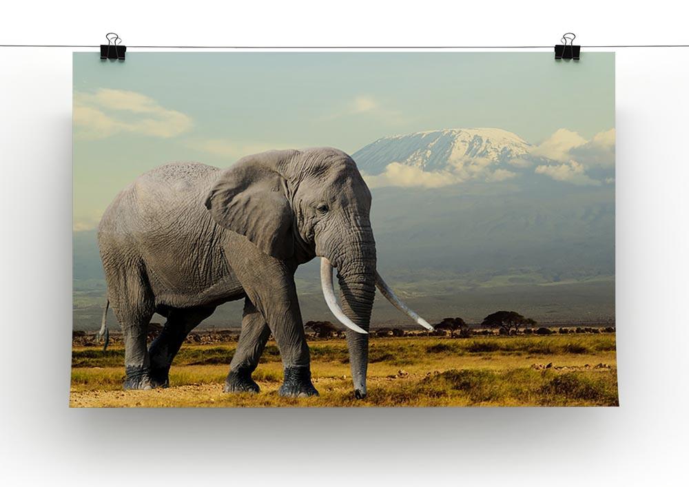 Elephant on Kilimajaro mount Canvas Print or Poster - Canvas Art Rocks - 2