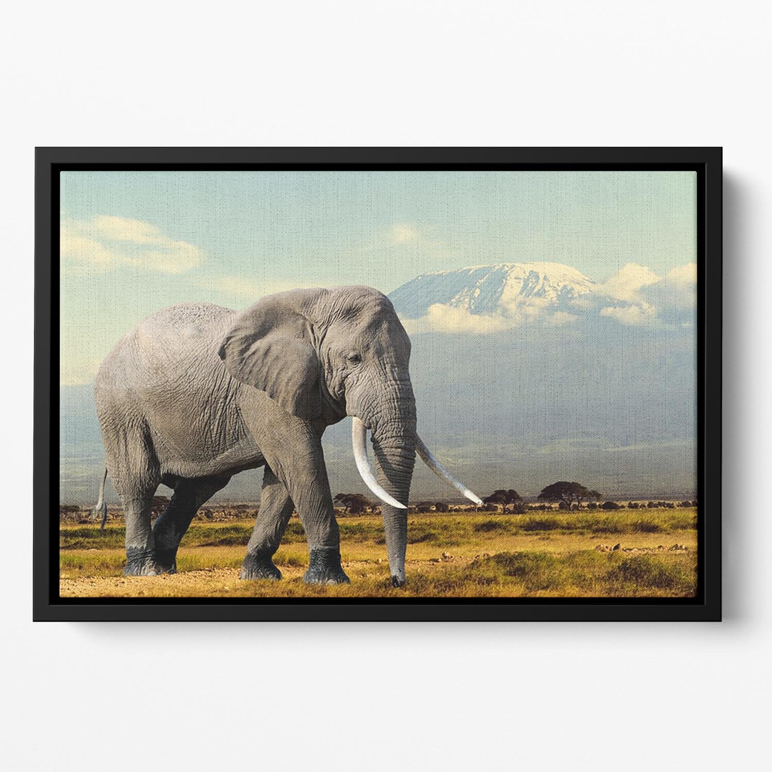 Elephant on Kilimajaro mount Floating Framed Canvas - Canvas Art Rocks - 2