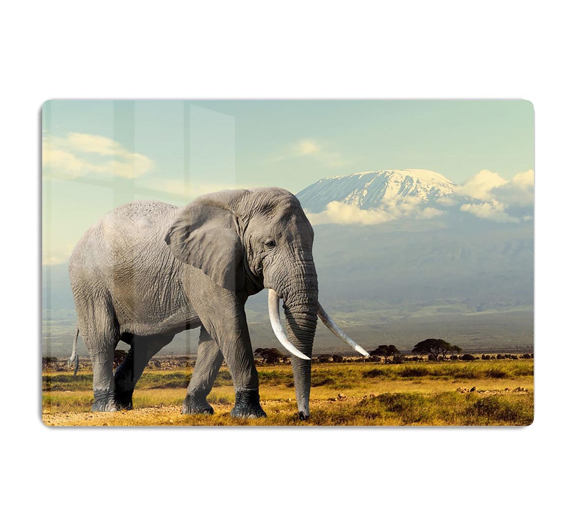 Elephant on Kilimajaro mount HD Metal Print - Canvas Art Rocks - 1