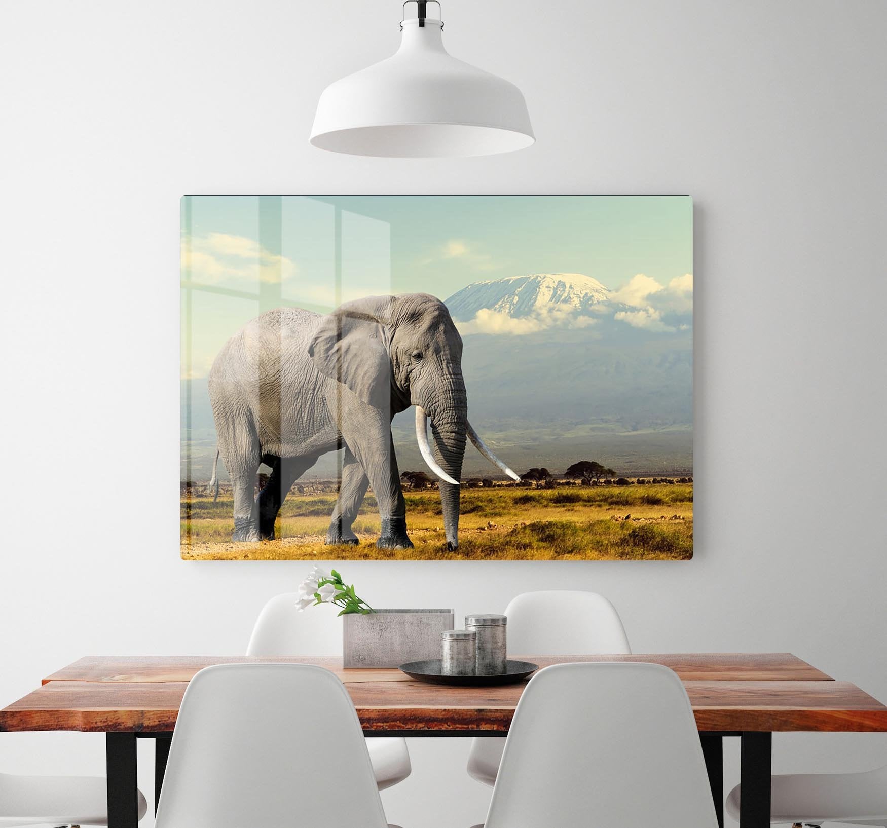 Elephant on Kilimajaro mount HD Metal Print - Canvas Art Rocks - 2