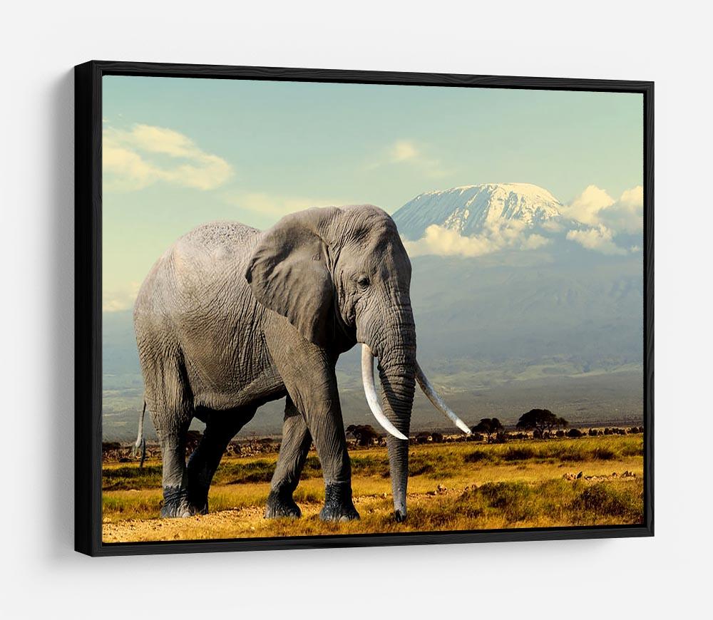 Elephant on Kilimajaro mount HD Metal Print - Canvas Art Rocks - 6