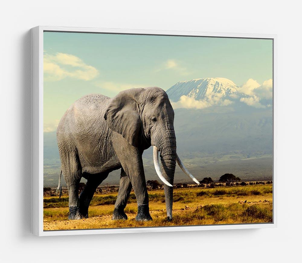 Elephant on Kilimajaro mount HD Metal Print - Canvas Art Rocks - 7