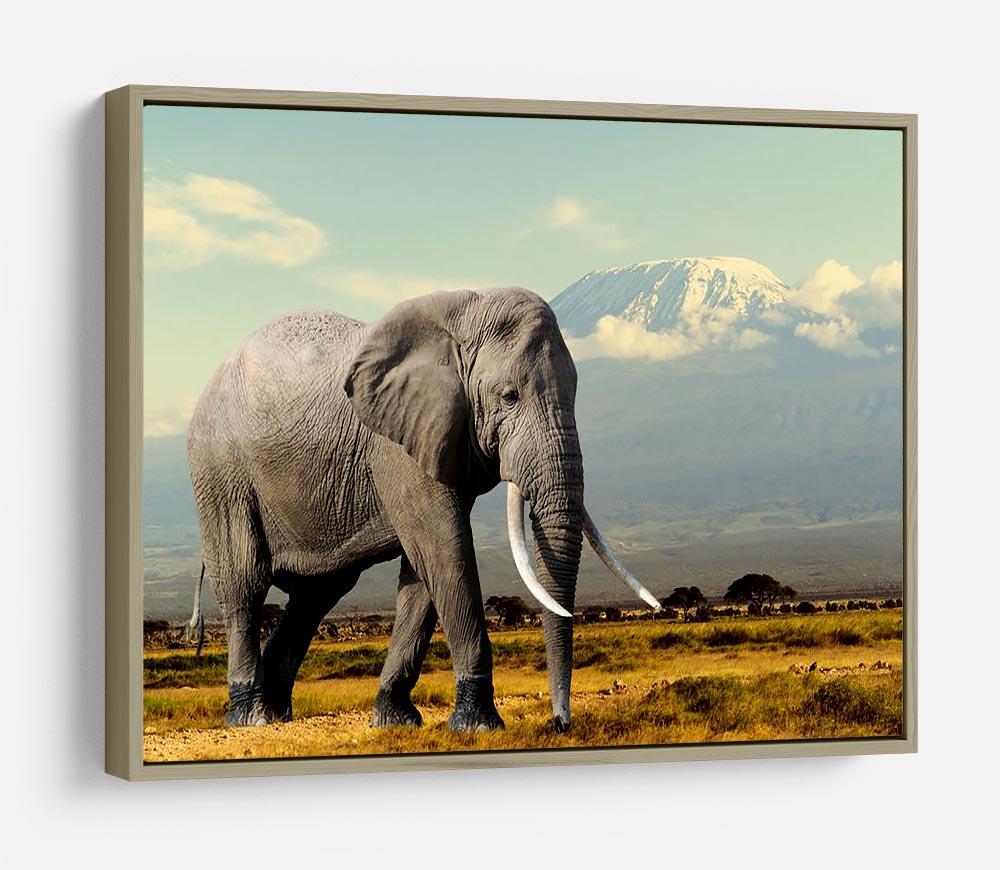 Elephant on Kilimajaro mount HD Metal Print - Canvas Art Rocks - 8