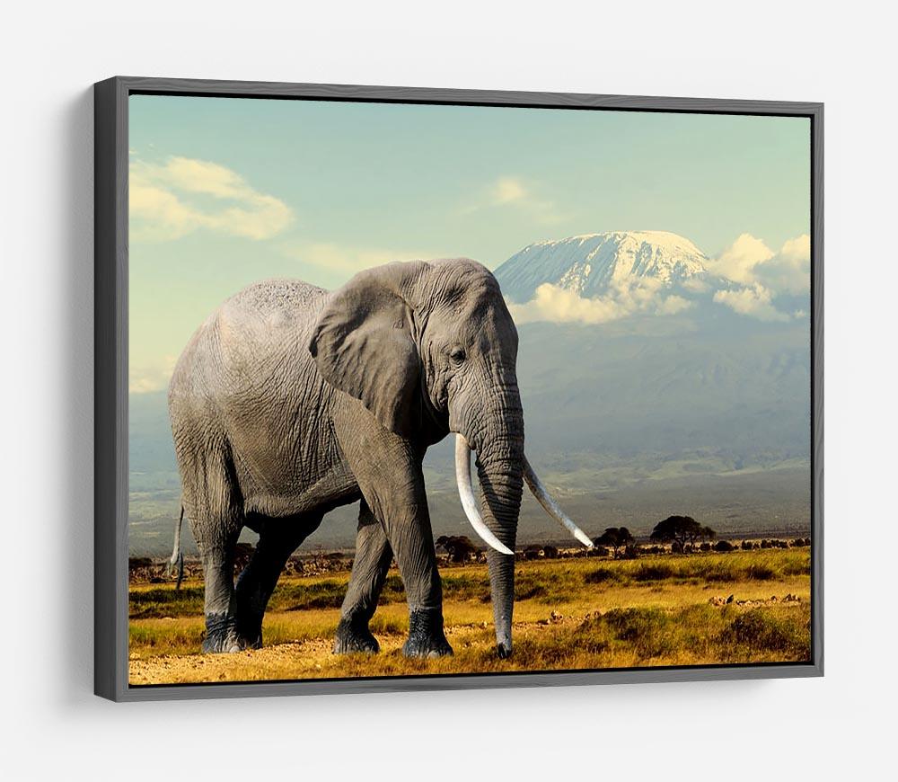Elephant on Kilimajaro mount HD Metal Print - Canvas Art Rocks - 9