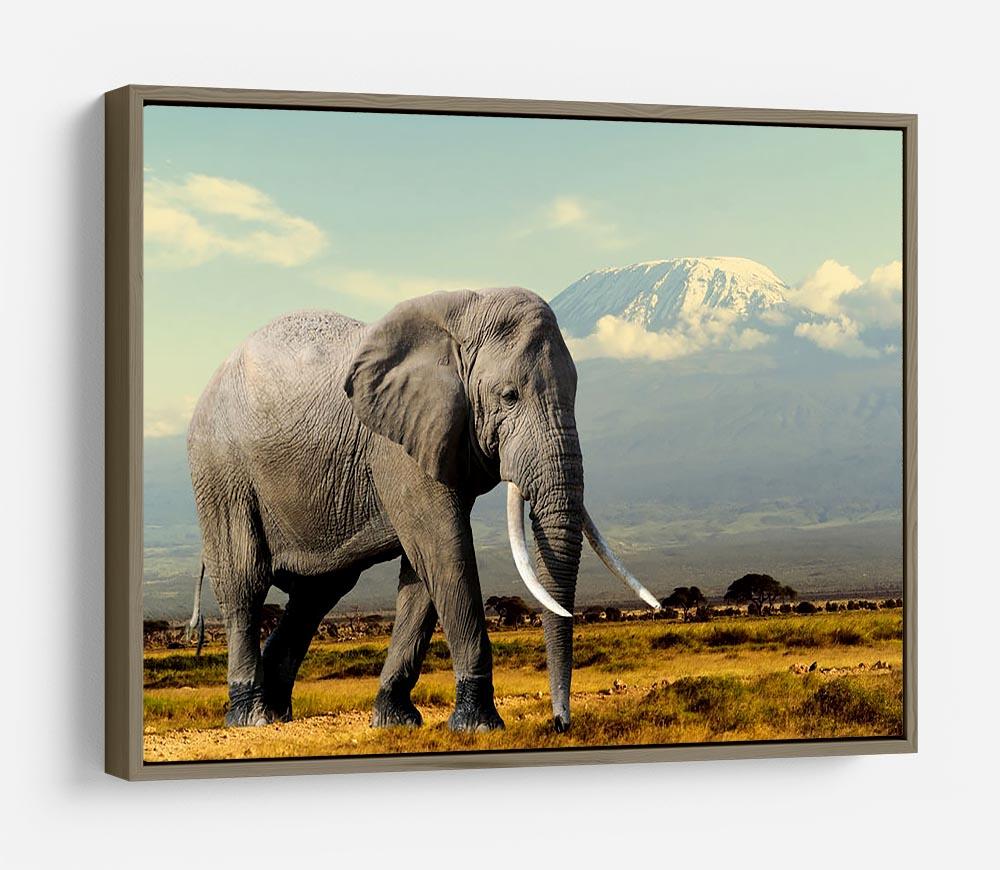 Elephant on Kilimajaro mount HD Metal Print - Canvas Art Rocks - 10