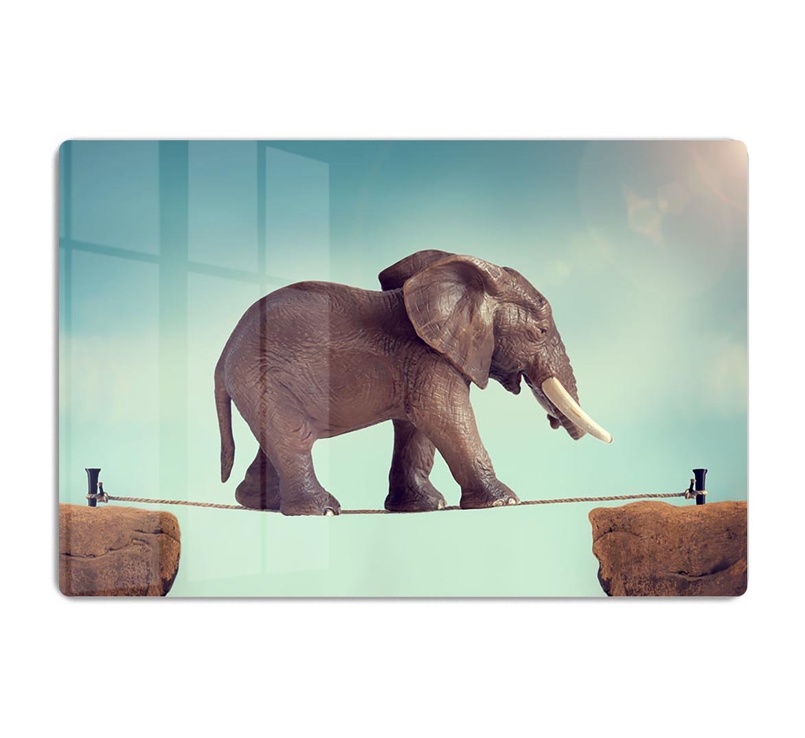 Elephant on a tightrope HD Metal Print - Canvas Art Rocks - 1