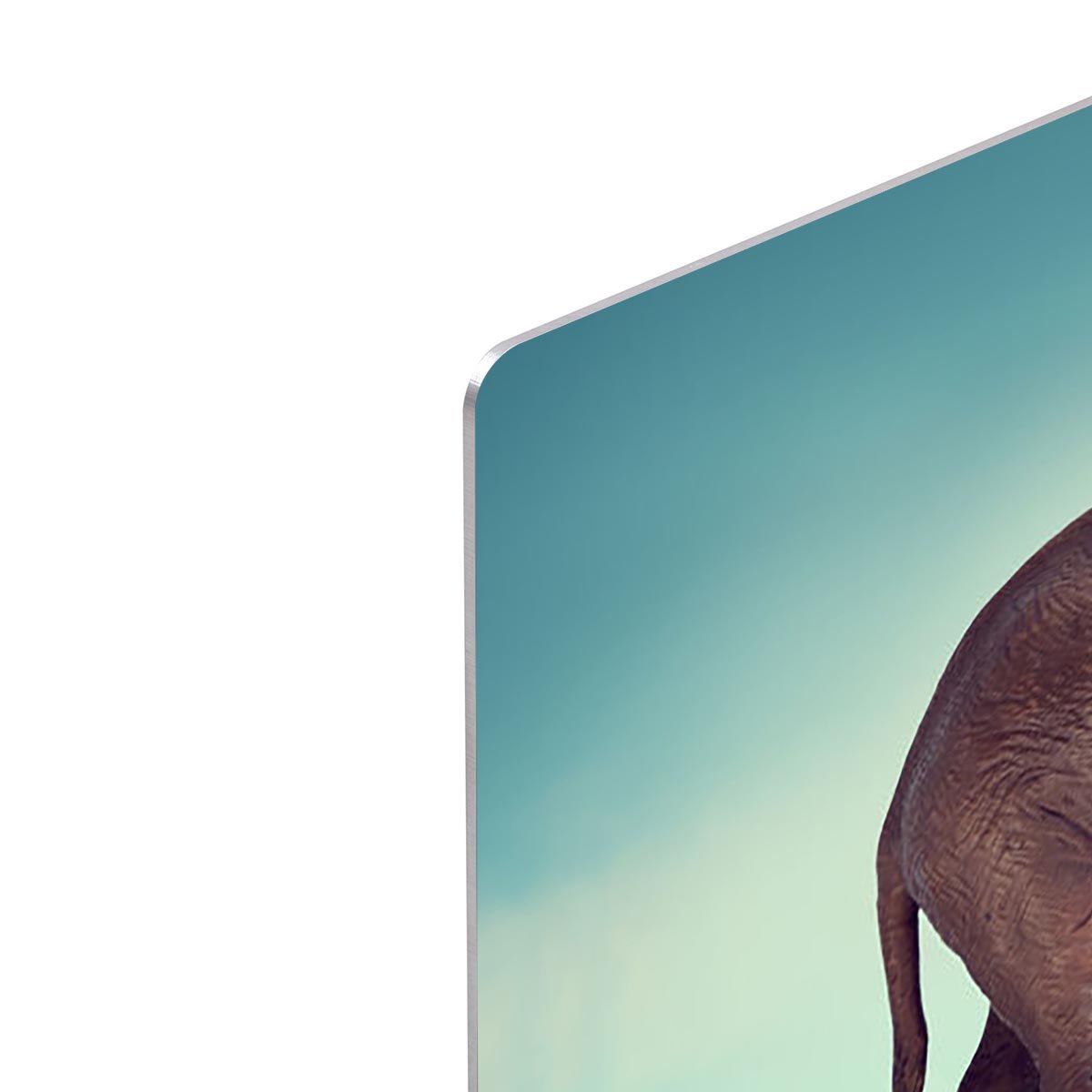Elephant on a tightrope HD Metal Print - Canvas Art Rocks - 4