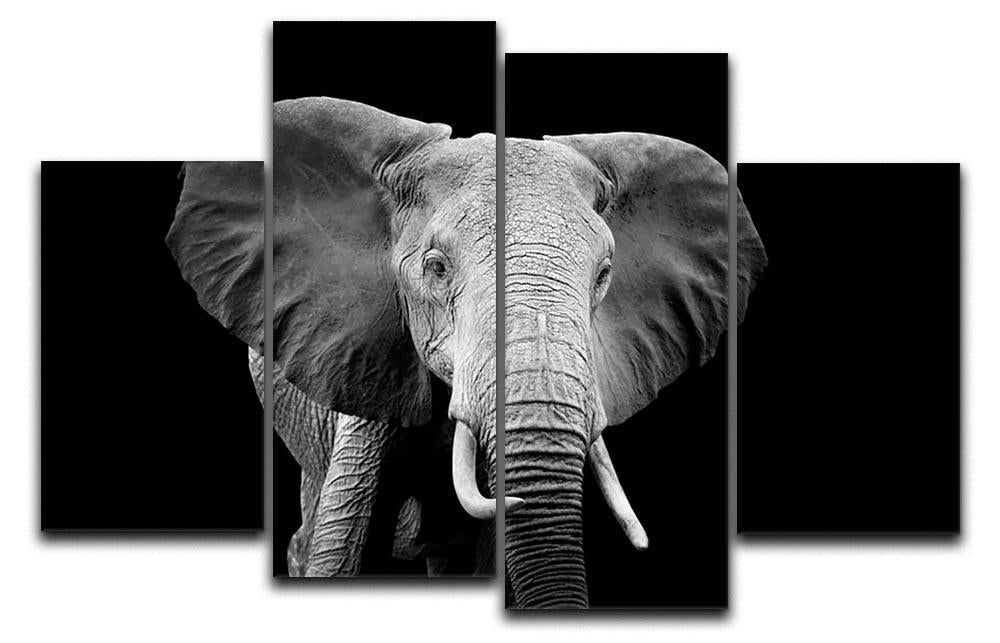 Elephant on dark background. Black and white image 4 Split Panel Canvas - Canvas Art Rocks - 1