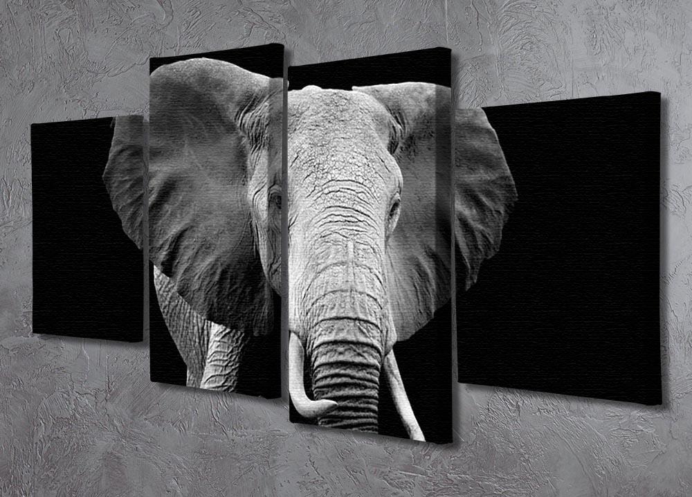 Elephant on dark background. Black and white image 4 Split Panel Canvas - Canvas Art Rocks - 2