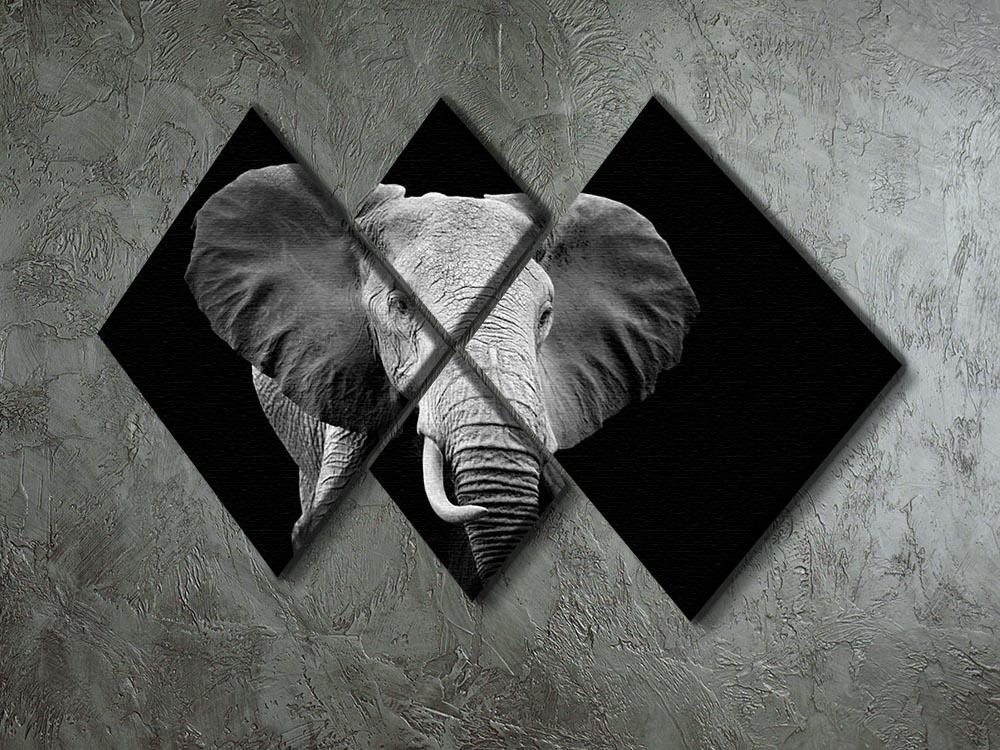 Elephant on dark background. Black and white image 4 Square Multi Panel Canvas - Canvas Art Rocks - 2
