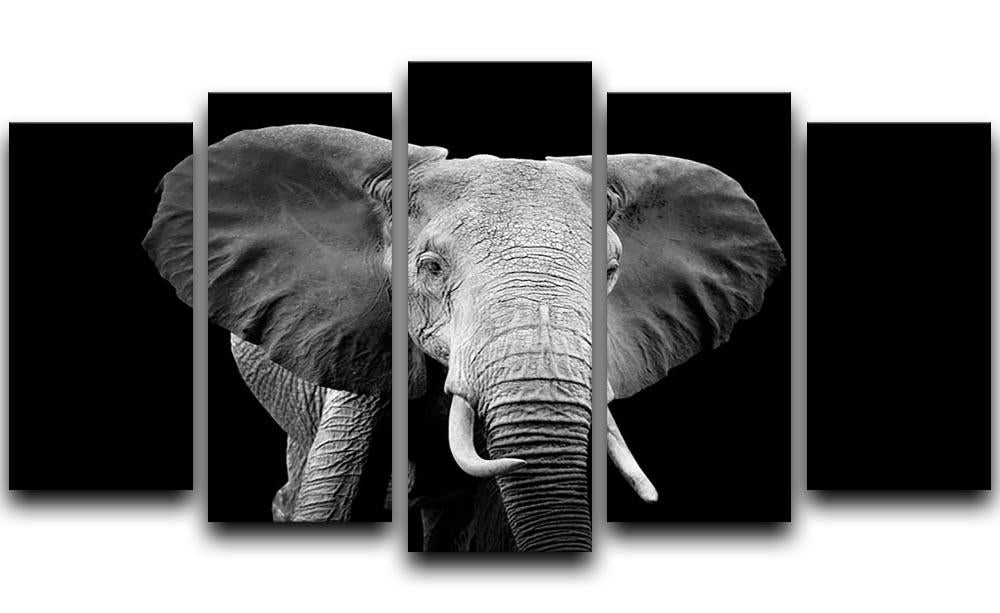 Elephant on dark background. Black and white image 5 Split Panel Canvas - Canvas Art Rocks - 1