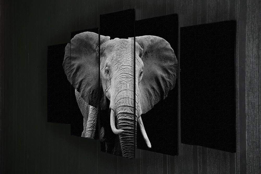 Elephant on dark background. Black and white image 5 Split Panel Canvas - Canvas Art Rocks - 2