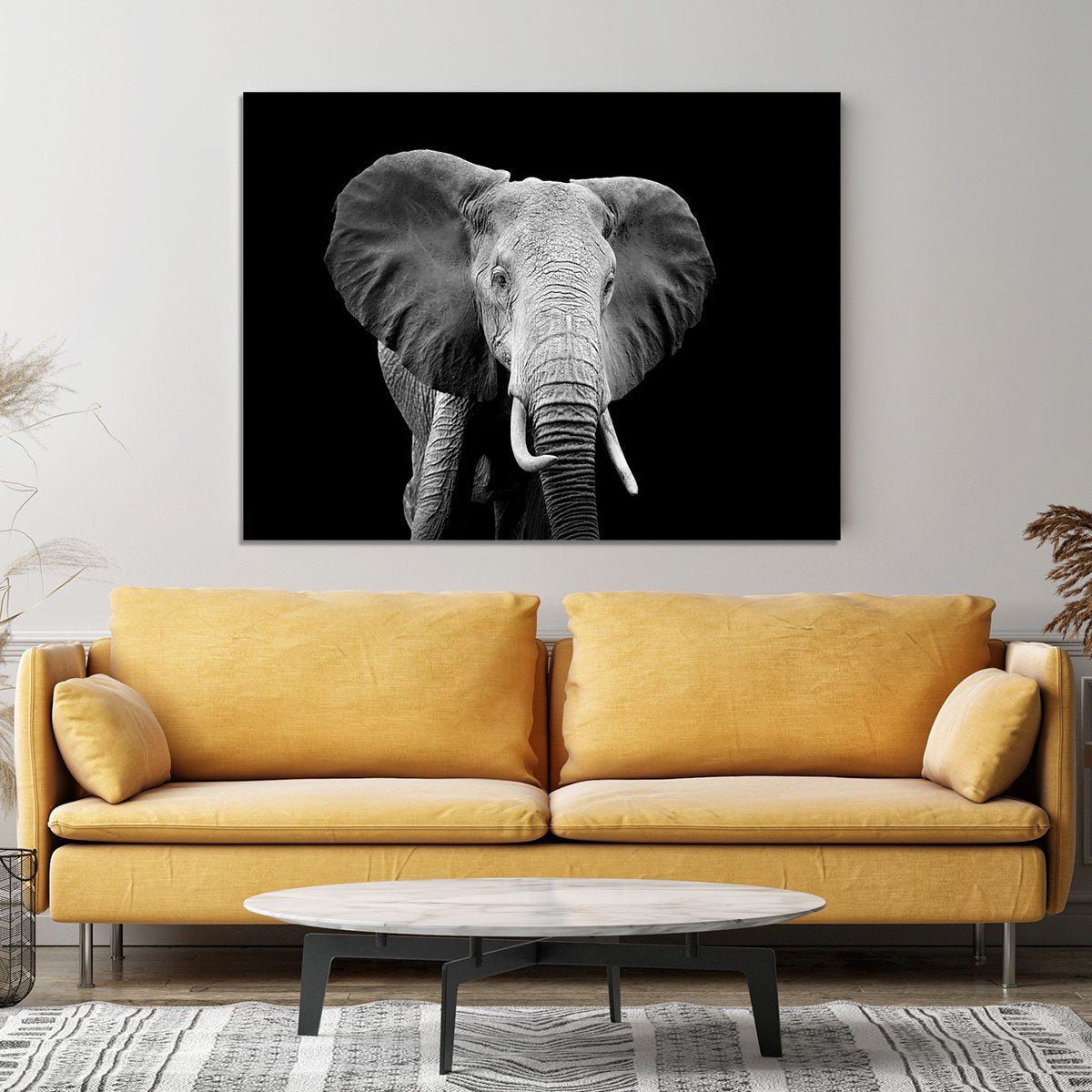 Elephant on dark background. Black and white image Canvas Print or Poster