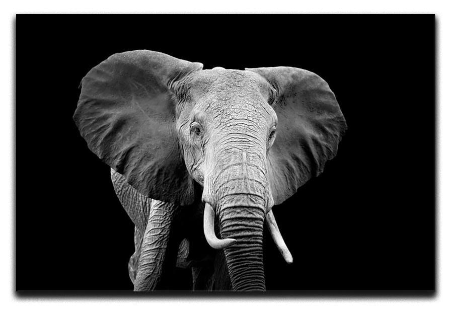 Elephant on dark background. Black and white image Canvas Print or Poster - Canvas Art Rocks - 1