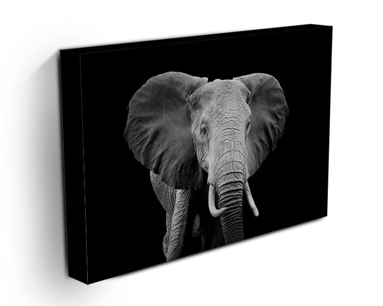 Elephant on dark background. Black and white image Canvas Print or Poster - Canvas Art Rocks - 3