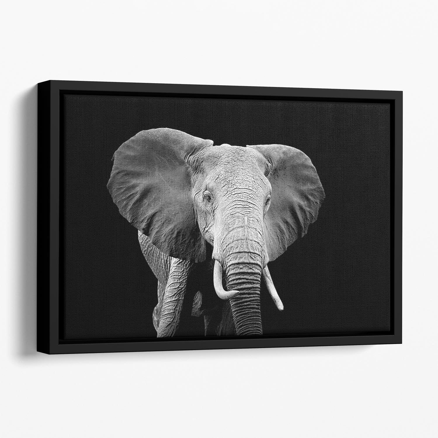 Elephant on dark background. Black and white image Floating Framed Canvas - Canvas Art Rocks - 1