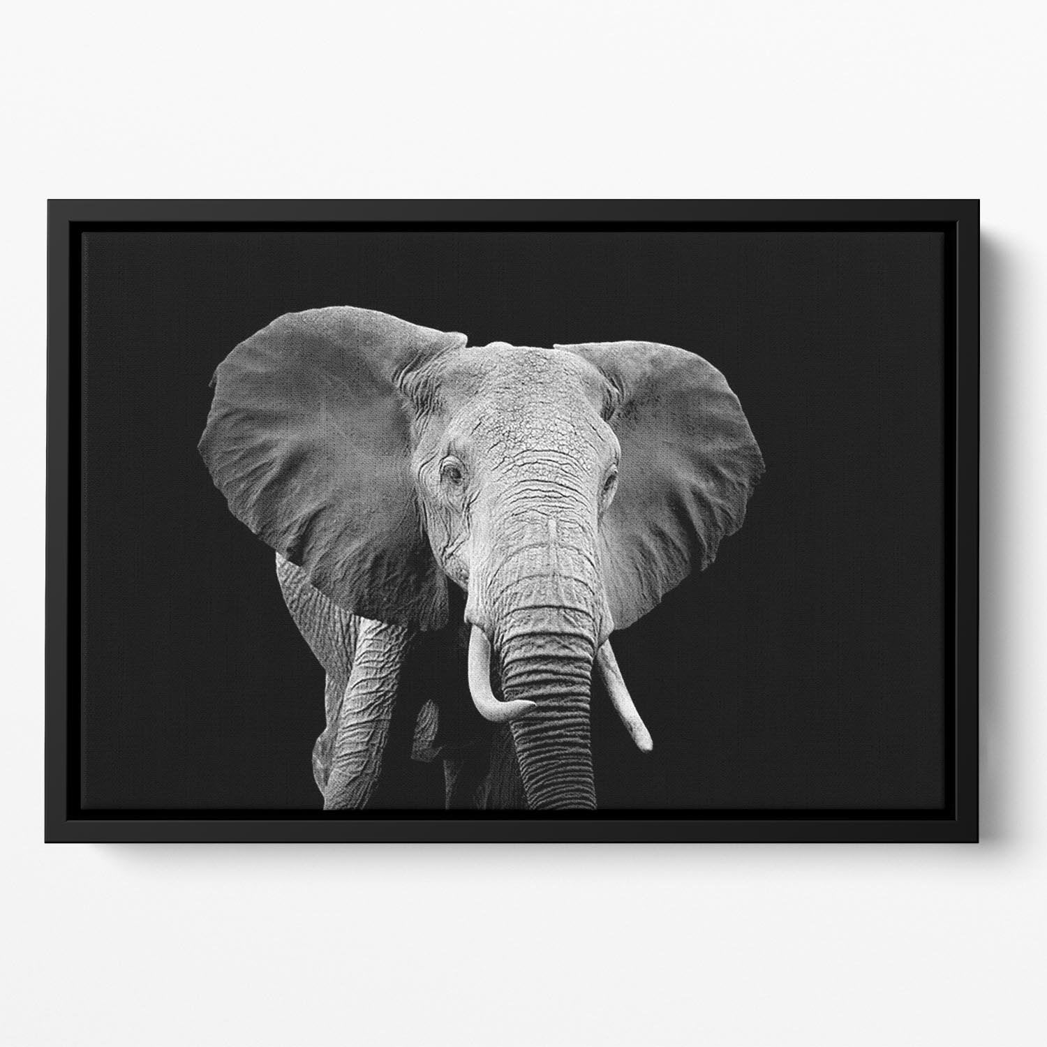 Elephant on dark background. Black and white image Floating Framed Canvas - Canvas Art Rocks - 2
