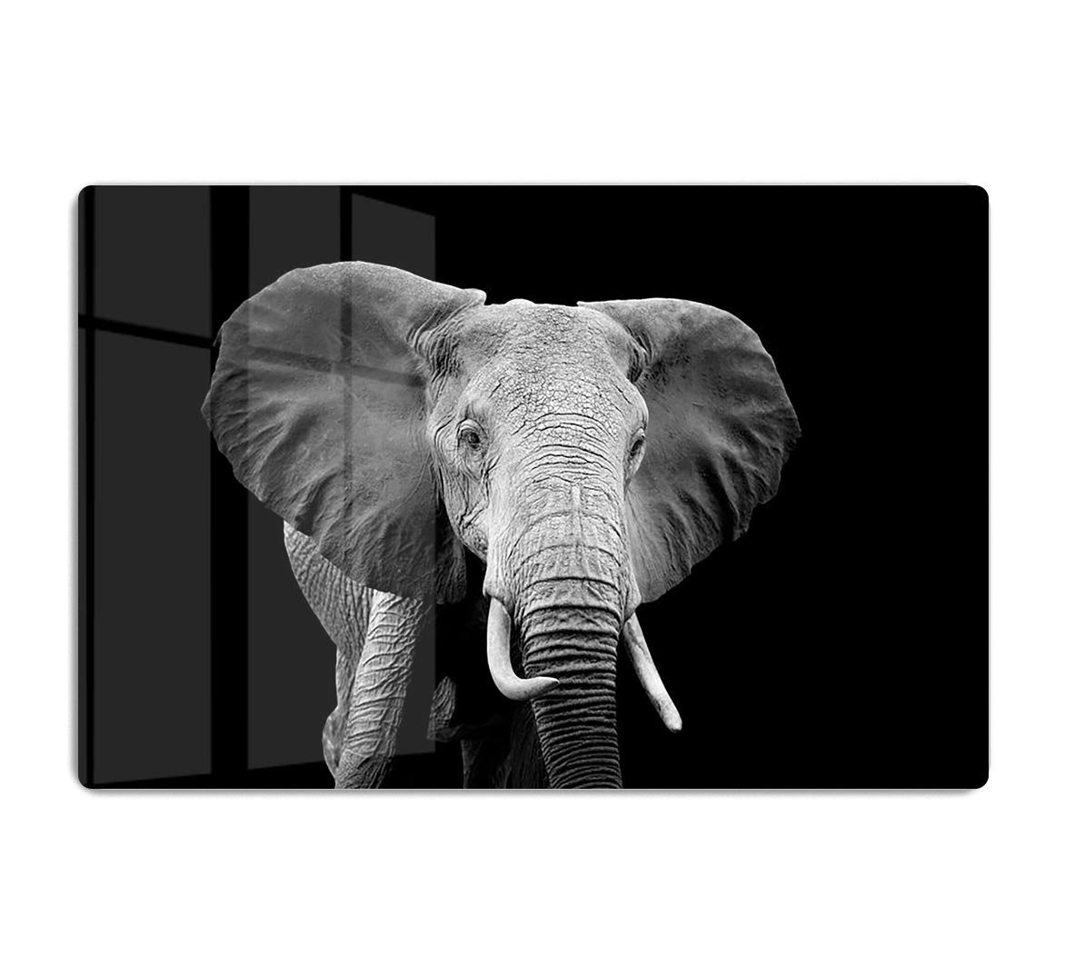 Elephant on dark background. Black and white image HD Metal Print - Canvas Art Rocks - 1