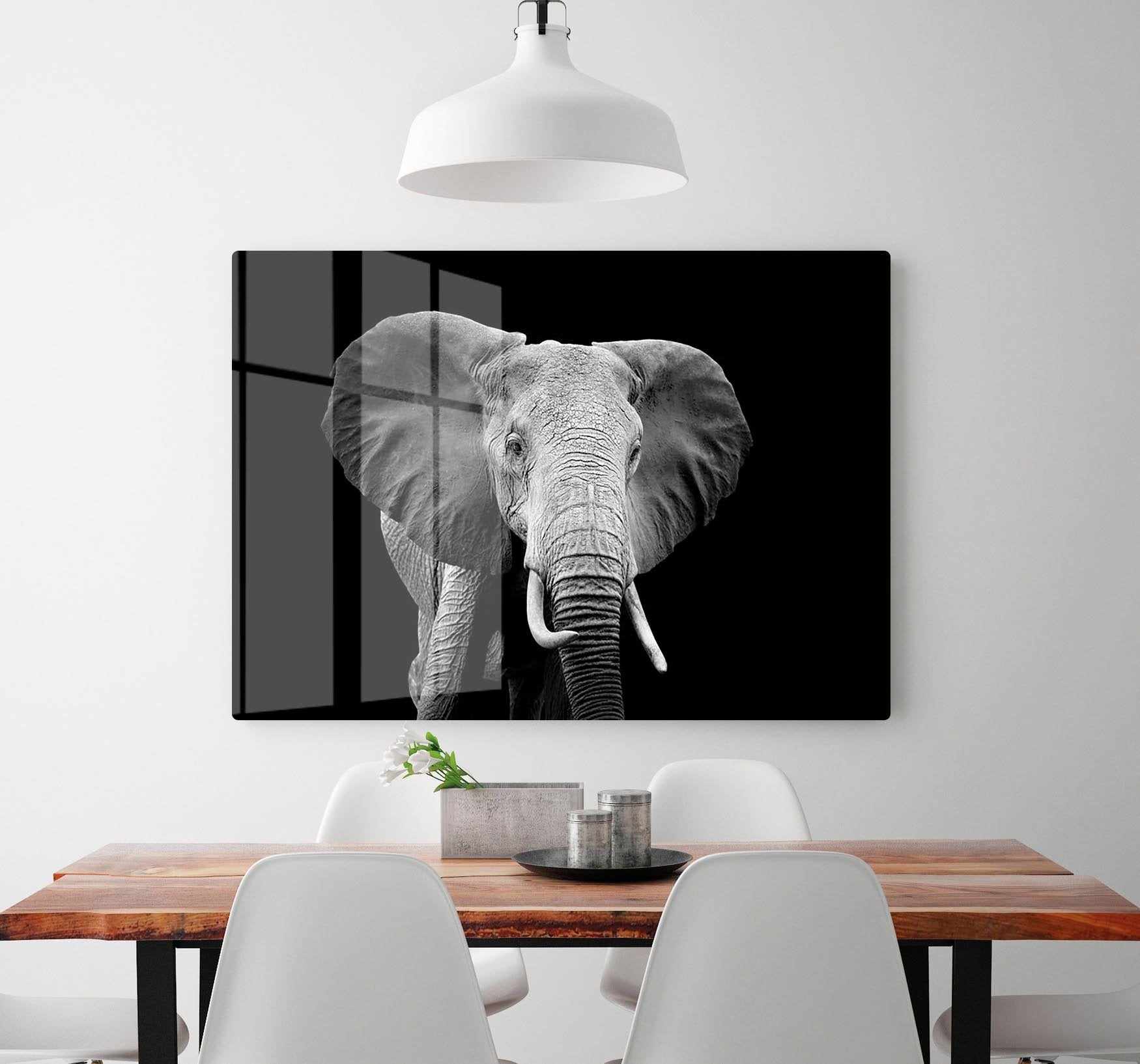 Elephant on dark background. Black and white image HD Metal Print - Canvas Art Rocks - 2