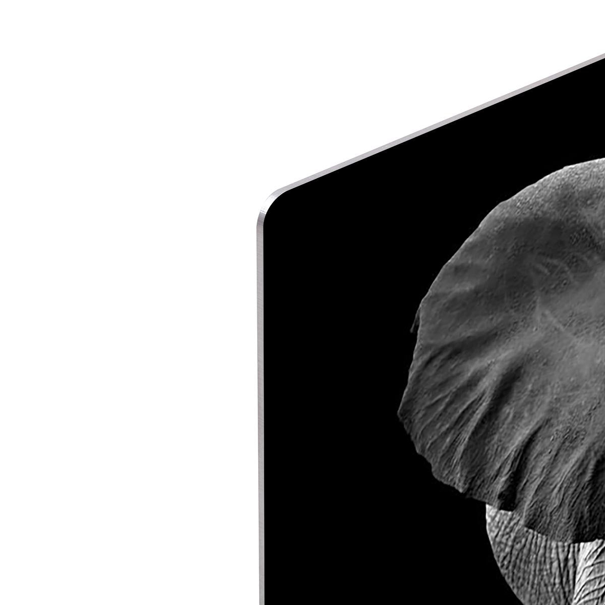 Elephant on dark background. Black and white image HD Metal Print - Canvas Art Rocks - 4
