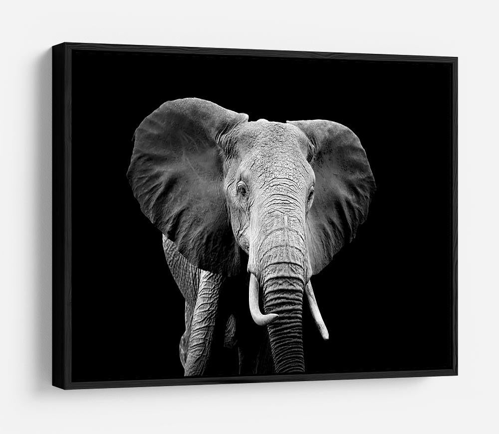 Elephant on dark background. Black and white image HD Metal Print - Canvas Art Rocks - 6