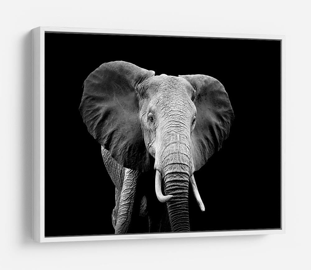 Elephant on dark background. Black and white image HD Metal Print - Canvas Art Rocks - 7