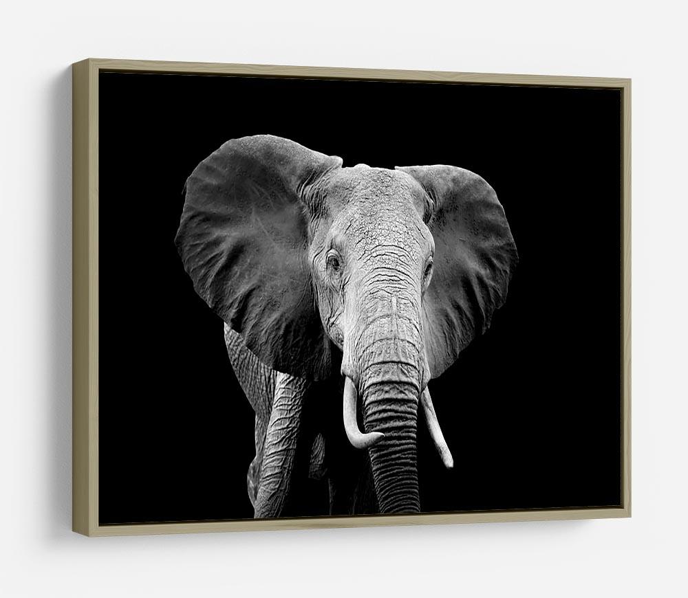 Elephant on dark background. Black and white image HD Metal Print - Canvas Art Rocks - 8