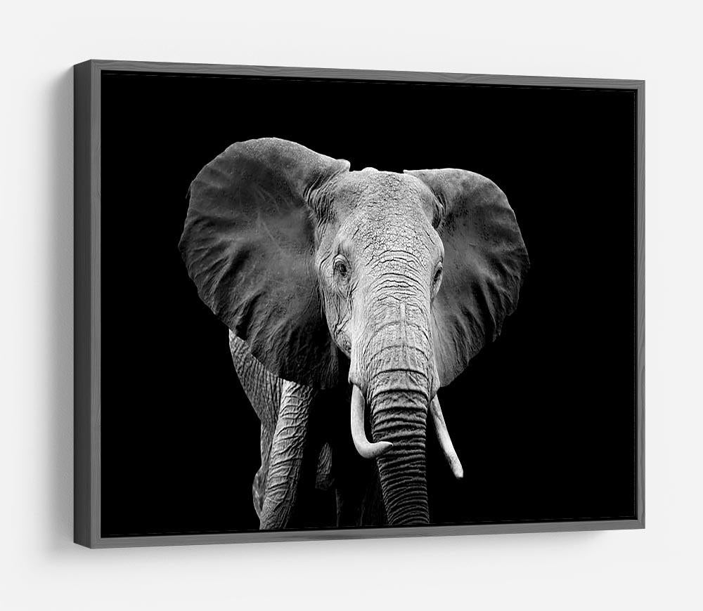 Elephant on dark background. Black and white image HD Metal Print - Canvas Art Rocks - 9