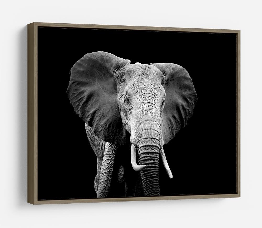 Elephant on dark background. Black and white image HD Metal Print - Canvas Art Rocks - 10