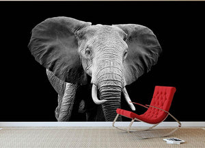 Elephant on dark background. Black and white image Wall Mural Wallpaper - Canvas Art Rocks - 2