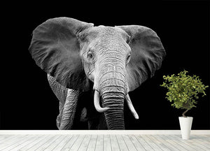Elephant on dark background. Black and white image Wall Mural Wallpaper - Canvas Art Rocks - 4