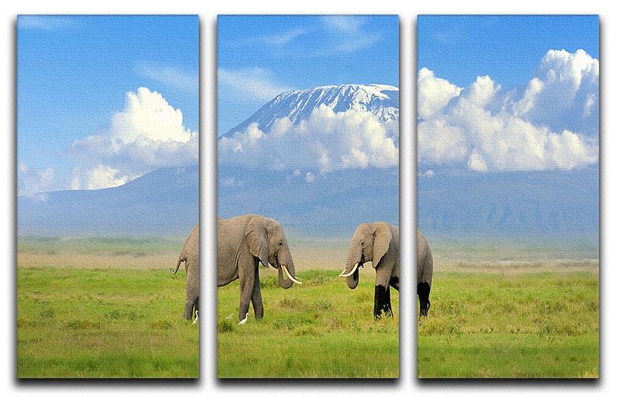 Elephant with Mount Kilimanjaro in the background 3 Split Panel Canvas Print - Canvas Art Rocks - 1