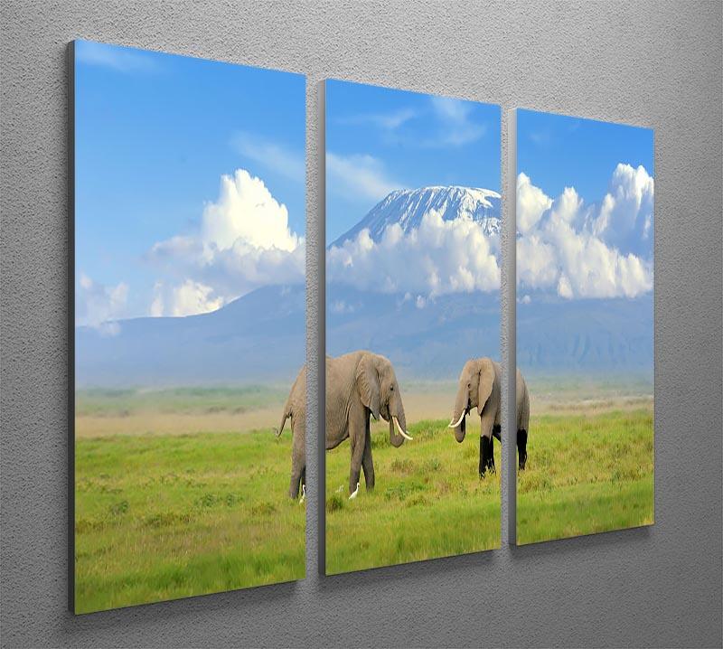 Elephant with Mount Kilimanjaro in the background 3 Split Panel Canvas Print - Canvas Art Rocks - 2