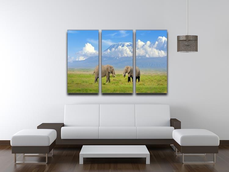 Elephant with Mount Kilimanjaro in the background 3 Split Panel Canvas Print - Canvas Art Rocks - 3
