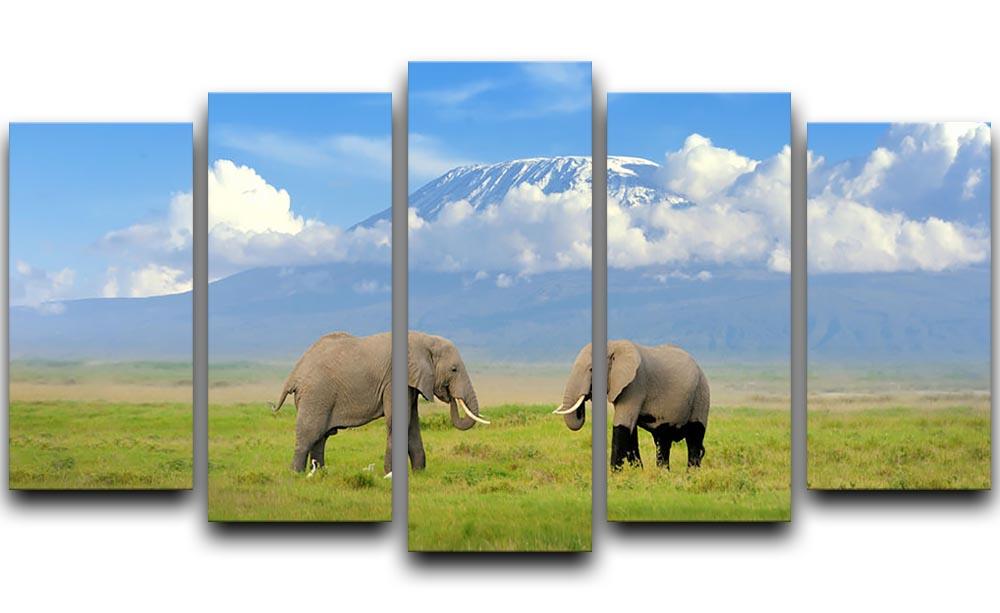 Elephant with Mount Kilimanjaro in the background 5 Split Panel Canvas - Canvas Art Rocks - 1
