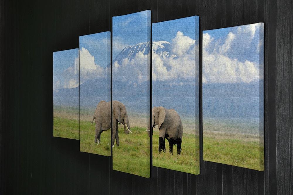 Elephant with Mount Kilimanjaro in the background 5 Split Panel Canvas - Canvas Art Rocks - 2
