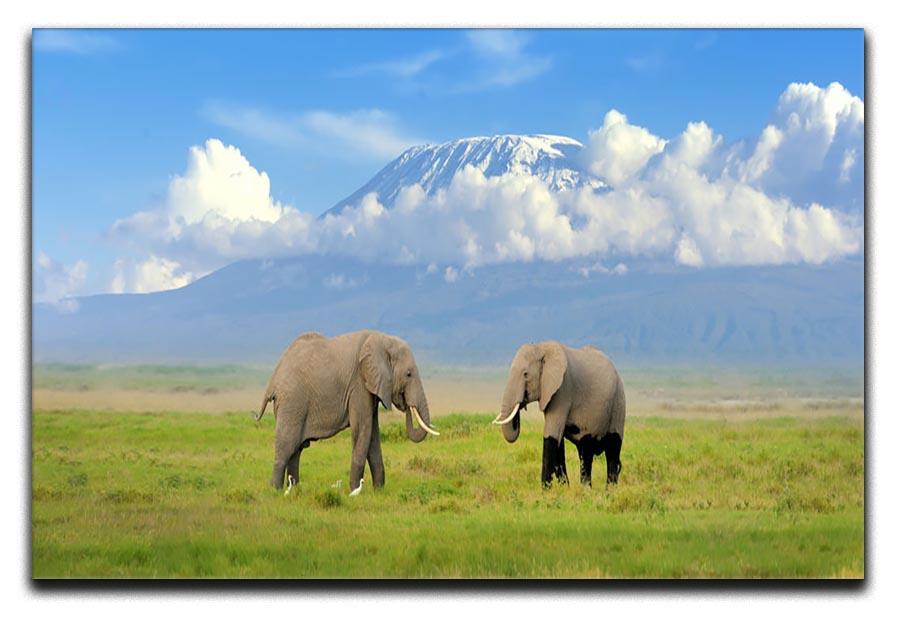 Elephant with Mount Kilimanjaro in the background Canvas Print or Poster - Canvas Art Rocks - 1