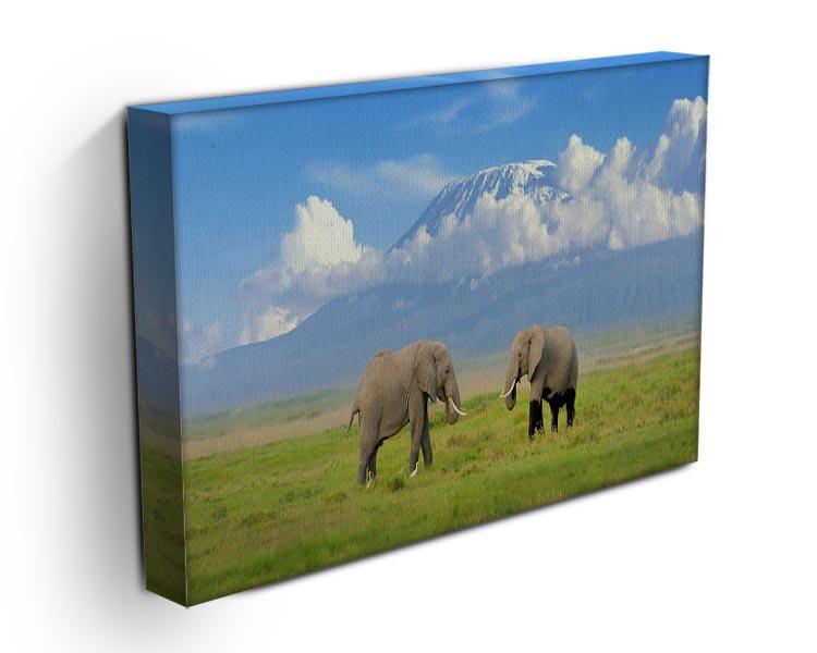 Elephant with Mount Kilimanjaro in the background Canvas Print or Poster - Canvas Art Rocks - 3