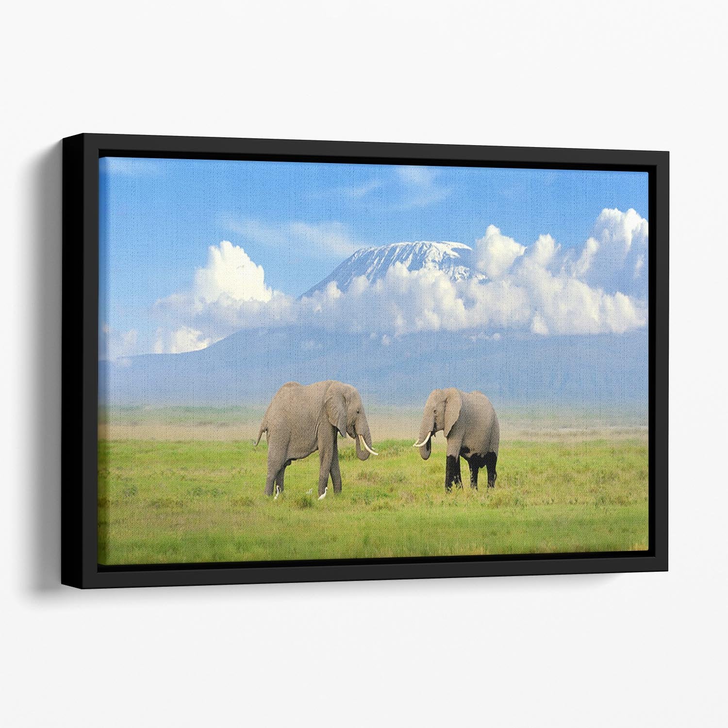 Elephant with Mount Kilimanjaro in the background Floating Framed Canvas - Canvas Art Rocks - 1