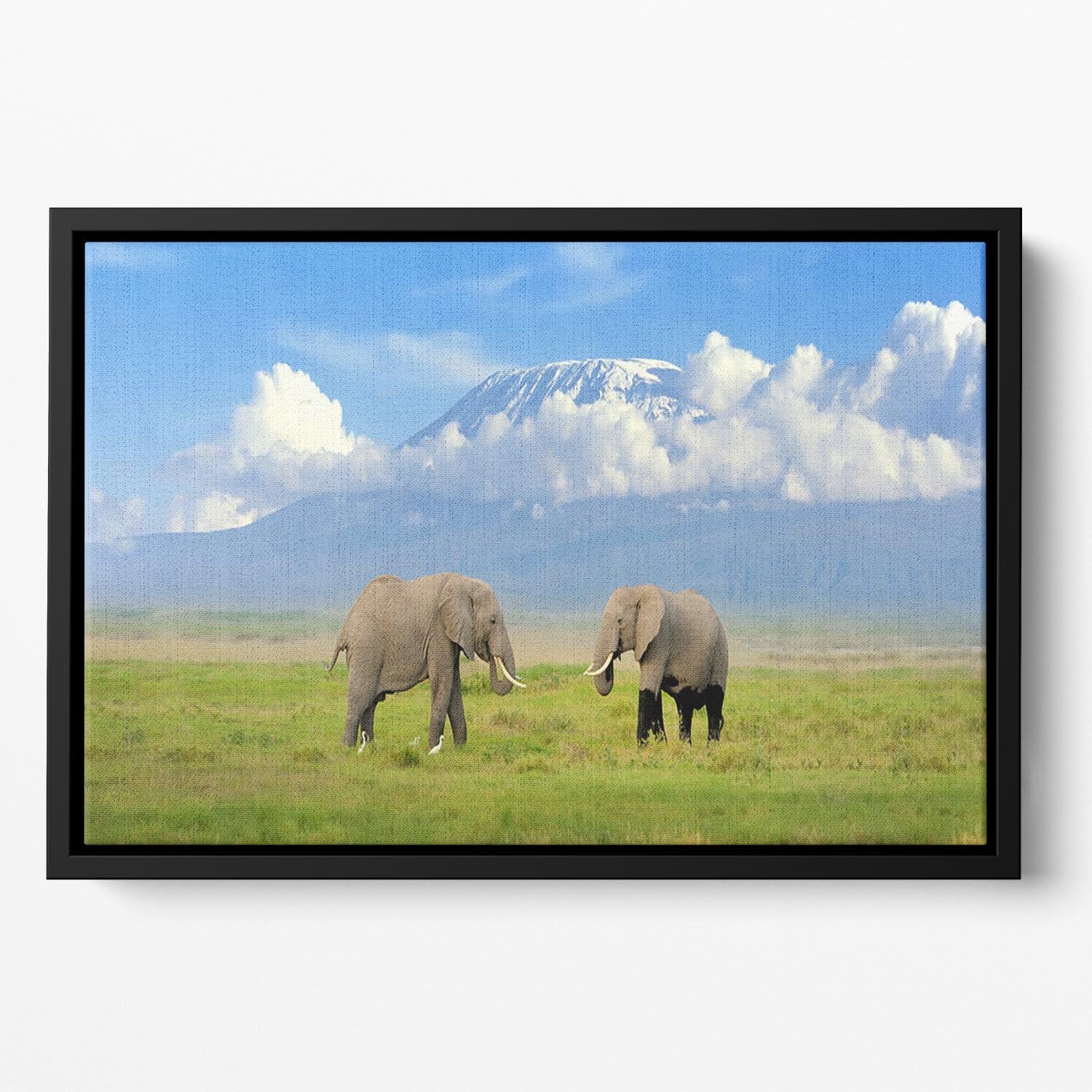 Elephant with Mount Kilimanjaro in the background Floating Framed Canvas - Canvas Art Rocks - 2