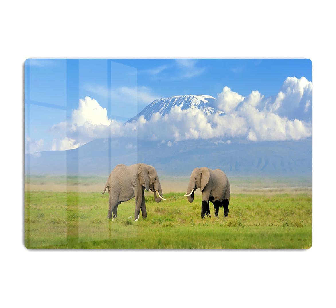 Elephant with Mount Kilimanjaro in the background HD Metal Print - Canvas Art Rocks - 1