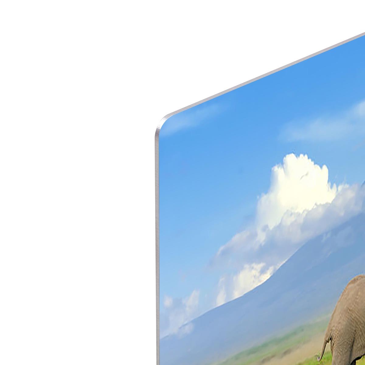 Elephant with Mount Kilimanjaro in the background HD Metal Print - Canvas Art Rocks - 4