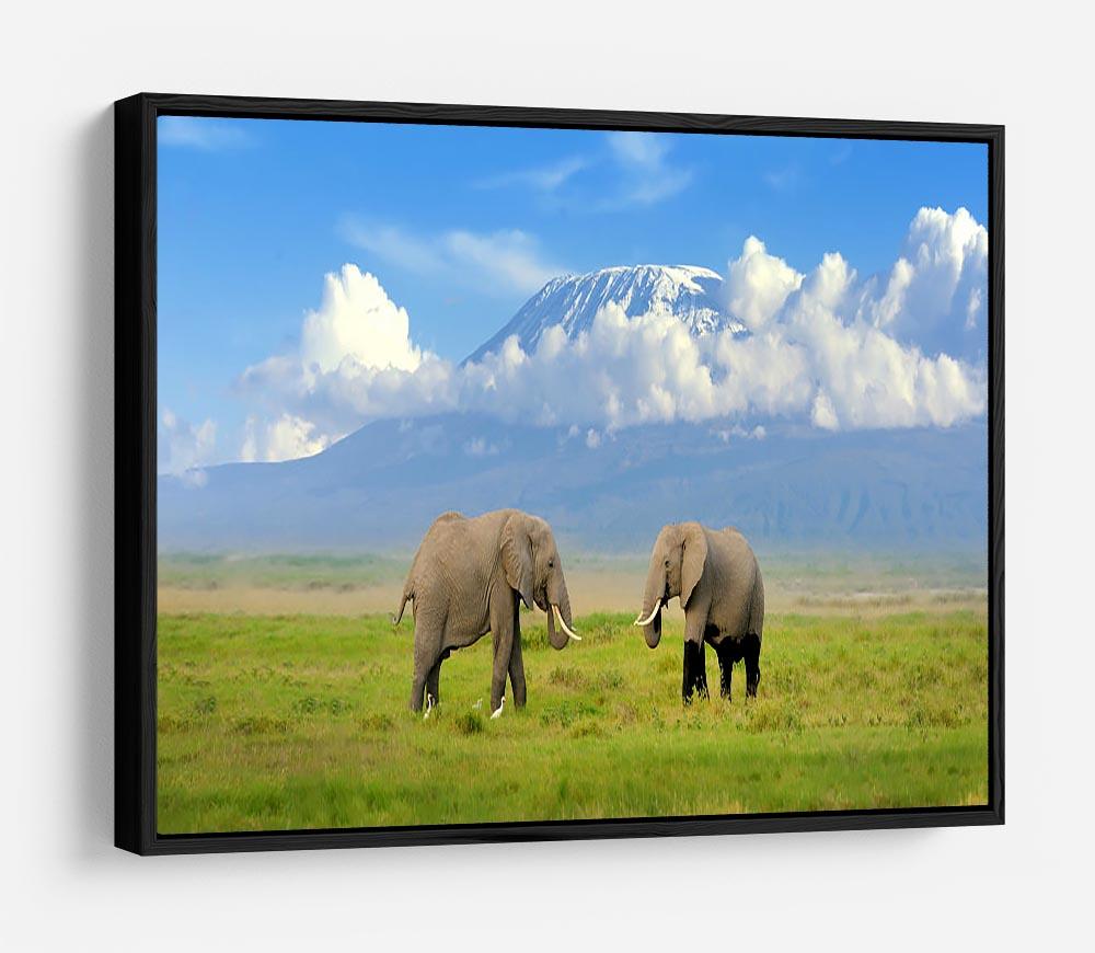 Elephant with Mount Kilimanjaro in the background HD Metal Print - Canvas Art Rocks - 6