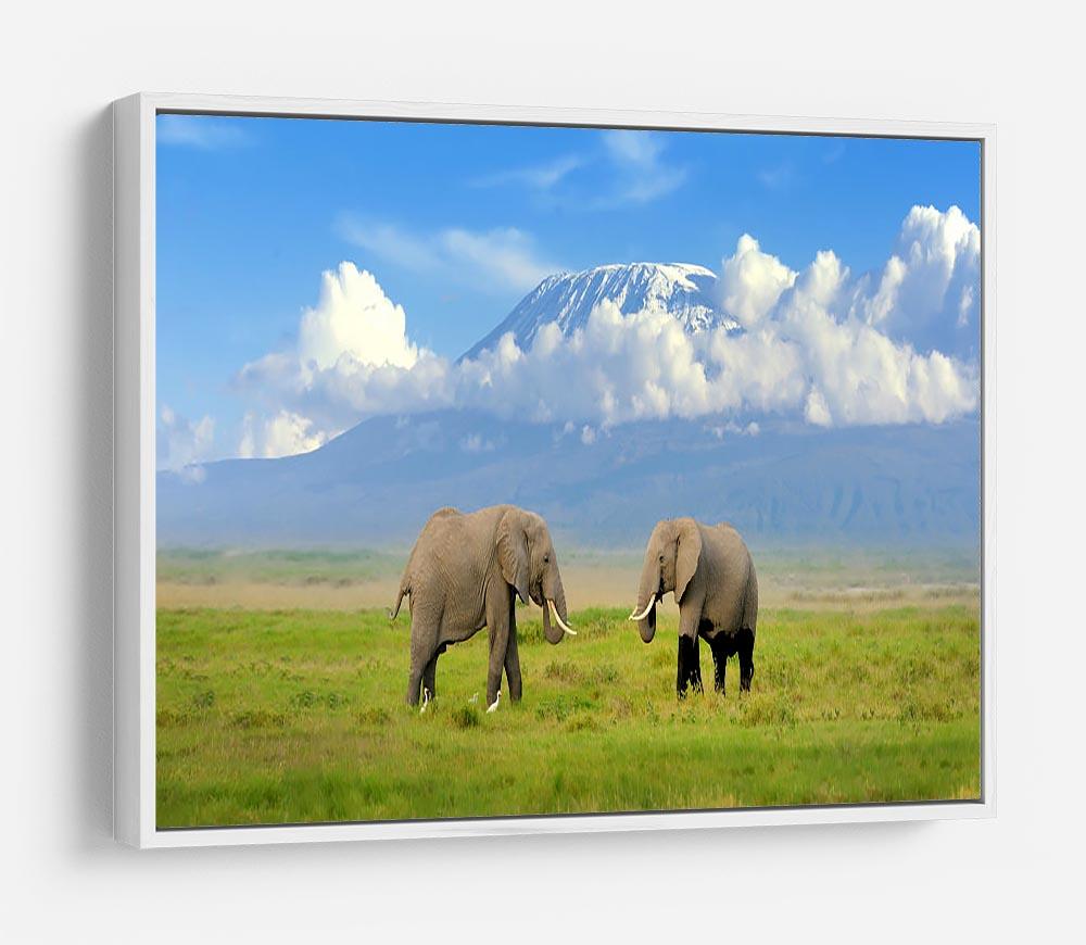 Elephant with Mount Kilimanjaro in the background HD Metal Print - Canvas Art Rocks - 7