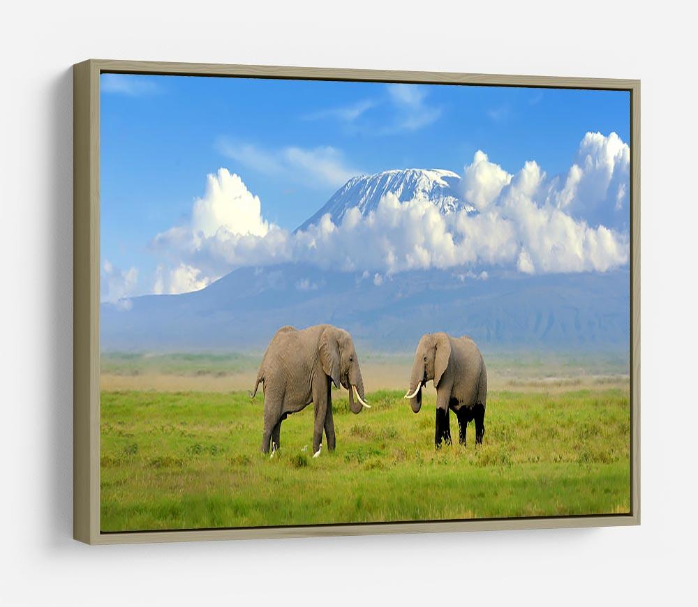 Elephant with Mount Kilimanjaro in the background HD Metal Print - Canvas Art Rocks - 8
