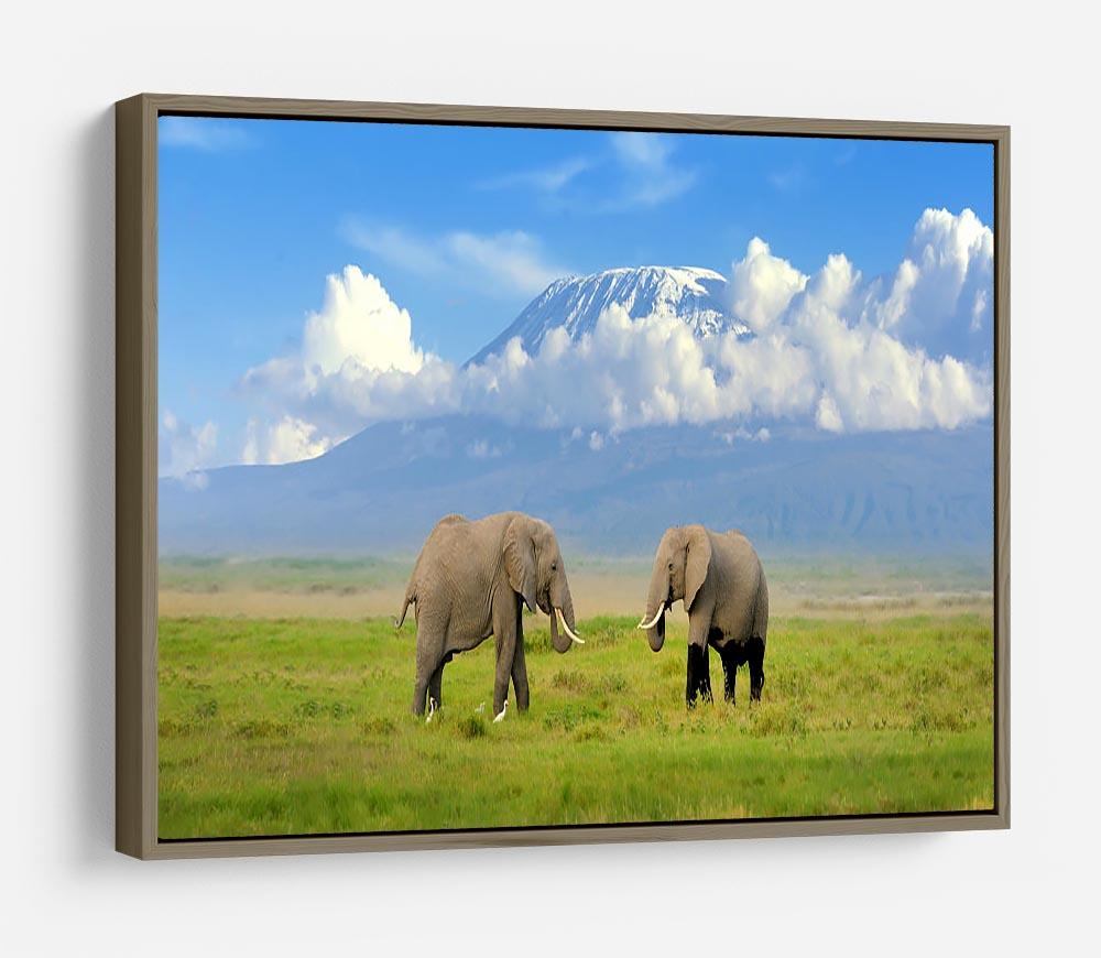 Elephant with Mount Kilimanjaro in the background HD Metal Print - Canvas Art Rocks - 10