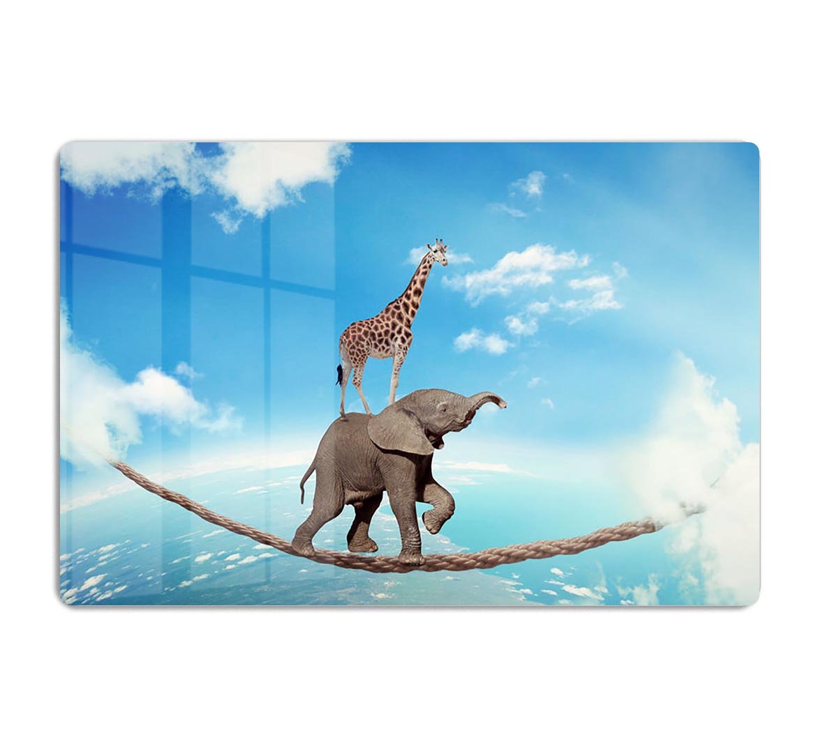 Elephant with giraffe walking on dangerous rope high in sky HD Metal Print - Canvas Art Rocks - 1